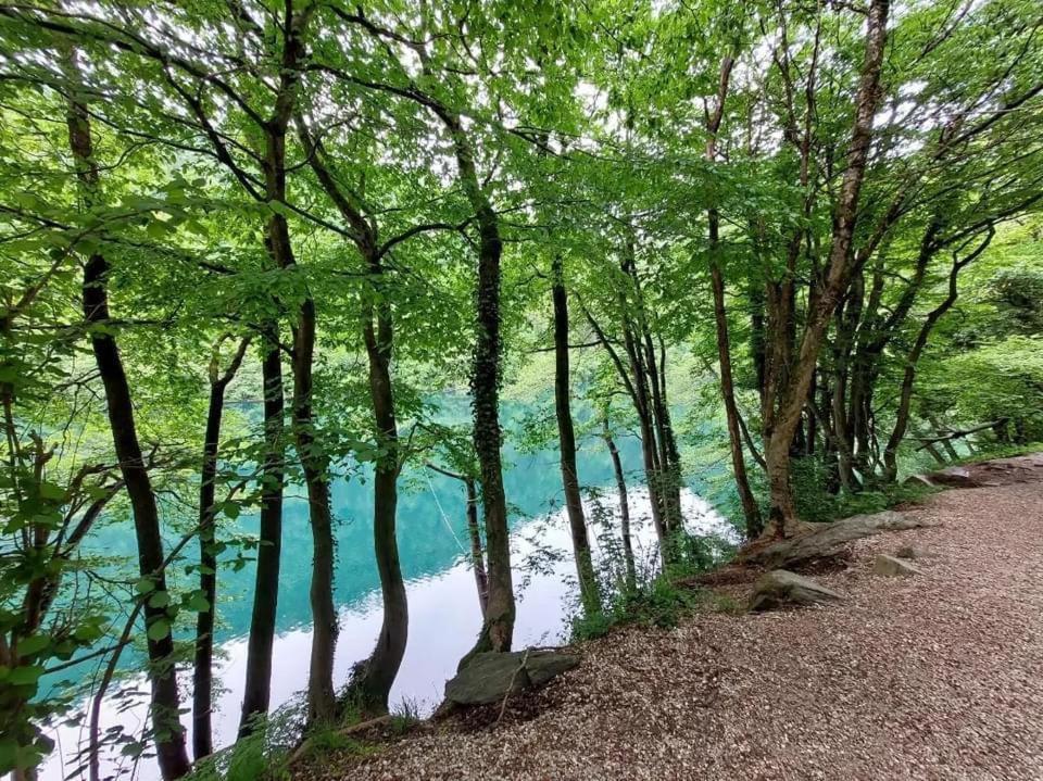 Apartament Casa Bosco Levico Terme Zewnętrze zdjęcie