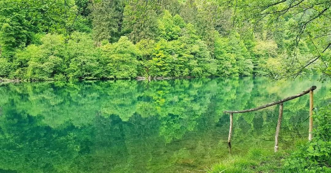 Apartament Casa Bosco Levico Terme Zewnętrze zdjęcie
